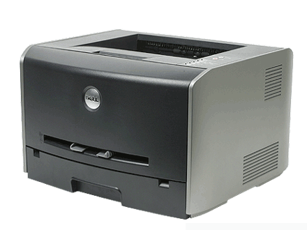 Dell P 1700n