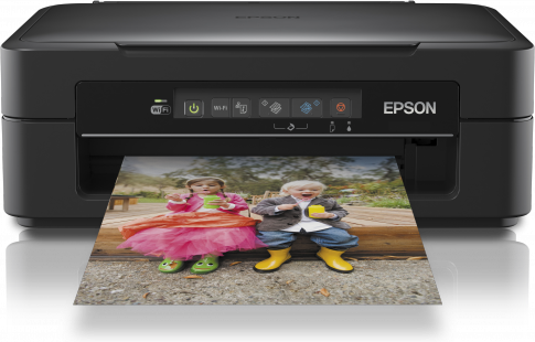 Epson XP-215 ink